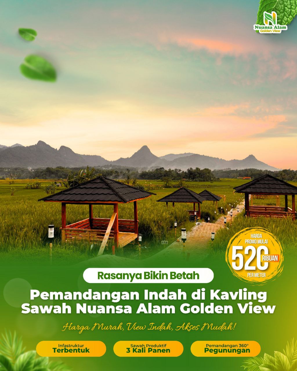 Jual Kavling Sawah Bogor Murah SHM Cuma 500 Ribuan Pinggir Jalan Raya - 085779009800 (1)
