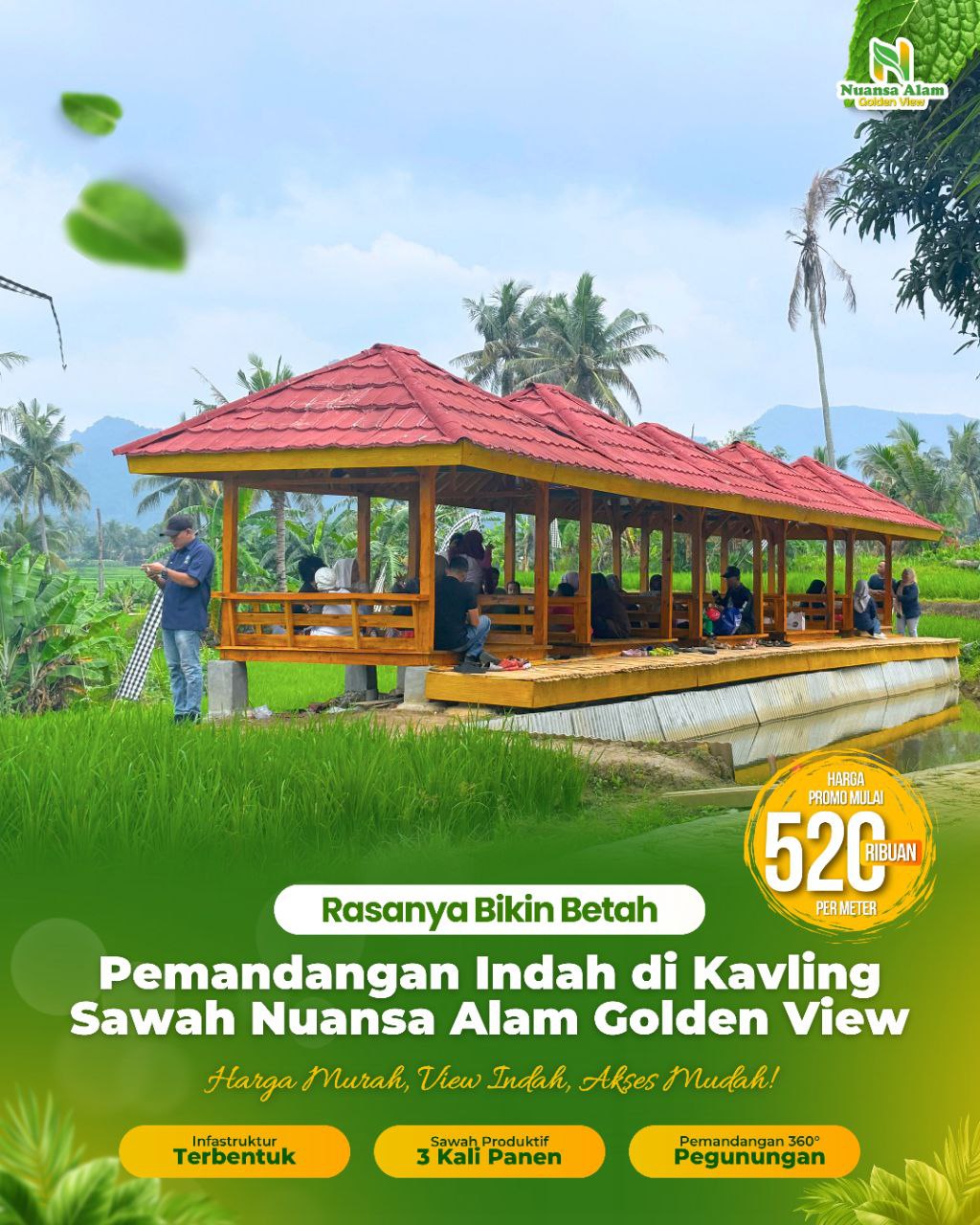 Jual Kavling Sawah Bogor Murah SHM Cuma 500 Ribuan Pinggir Jalan Raya - 085779009800 (9)