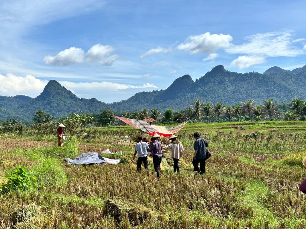 Panen Selamanya 3x Setahun Cukup Bayar Pertama di Kavling Sawah Nuansa Alam Golden View Bogor - 085779009800 (3)