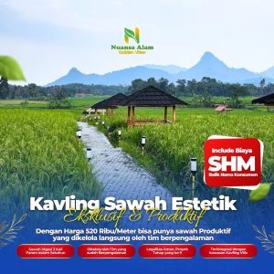 Sawah Murah SHM Bogor Estetik Cuma 500 Ribuan - kavlingnuansaalam dot com - 085779009800 (1)