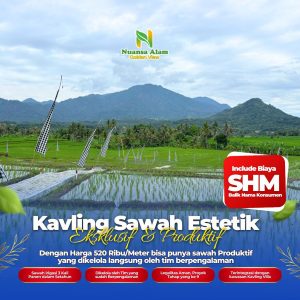 Sawah Murah SHM Bogor Estetik Cuma 500 Ribuan - kavlingnuansaalam dot com - 085779009800 (2)