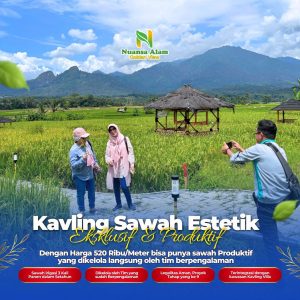 Sawah Murah SHM Bogor Estetik Cuma 500 Ribuan - kavlingnuansaalam dot com - 085779009800 (3)