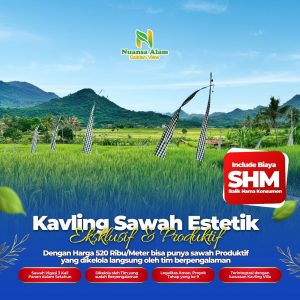 Sawah Murah SHM Bogor Estetik Cuma 500 Ribuan - kavlingnuansaalam dot com - 085779009800 (4)