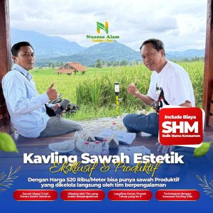Sawah Murah SHM Bogor Estetik Cuma 500 Ribuan - kavlingnuansaalam dot com - 085779009800 (5)