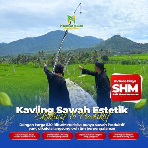Sawah Murah SHM Bogor Estetik Cuma 500 Ribuan - kavlingnuansaalam dot com - 085779009800 (6)