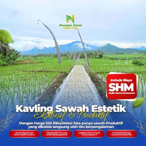 Sawah Murah SHM Bogor Estetik Cuma 500 Ribuan - kavlingnuansaalam dot com - 085779009800 (8)